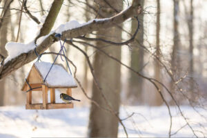 Vogelfutterhaus im Garten
